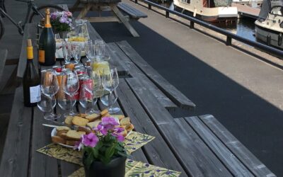 De zomer van WDevelop