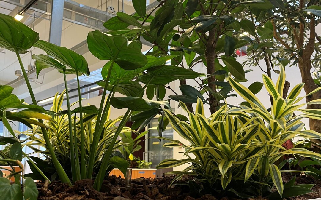 Verhuizing kantoor WDevelop