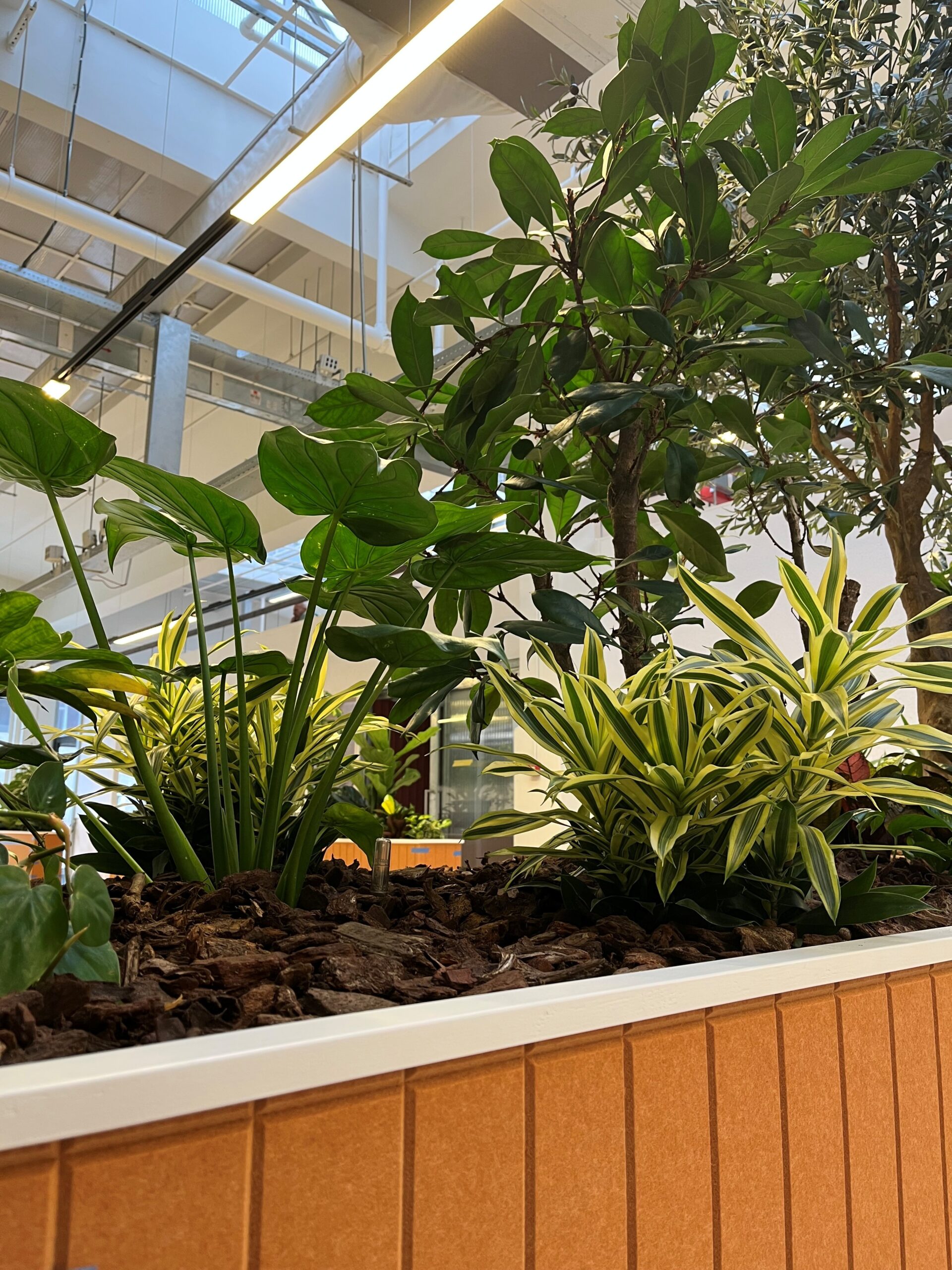 260219 afbeelding nieuwsbericht verhuizing